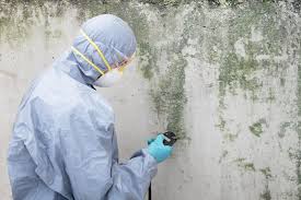 Best Biohazard Mold Removal  in Mount Sterling, KY